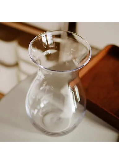 23cm High Minimalist Clear Glass Vase for Fresh Flowers Hydroponic Plants Living Room Decor