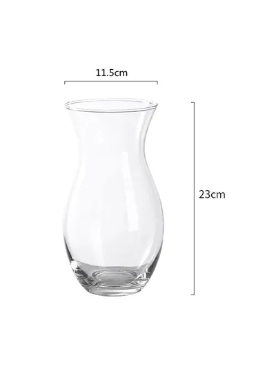 23cm High Minimalist Clear Glass Vase for Fresh Flowers Hydroponic Plants Living Room Decor