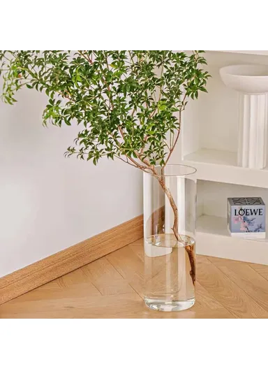 10x25cm Simulated Glass PET Vase Thickened Plant Hydroponic Container Home Office Decor