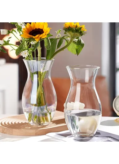 28cm High Minimalist Clear Glass Vase for Fresh Flowers Hydroponic Plants Living Room Decor