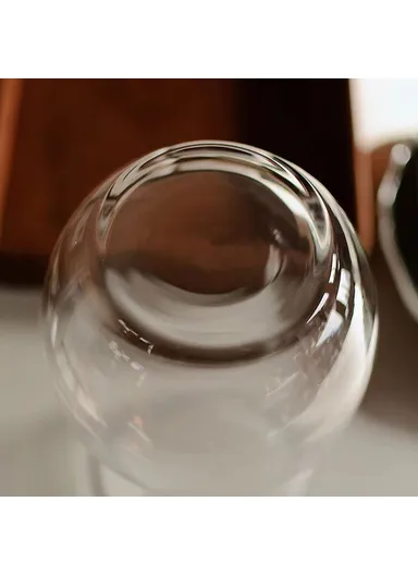 28cm High Minimalist Clear Glass Vase for Fresh Flowers Hydroponic Plants Living Room Decor