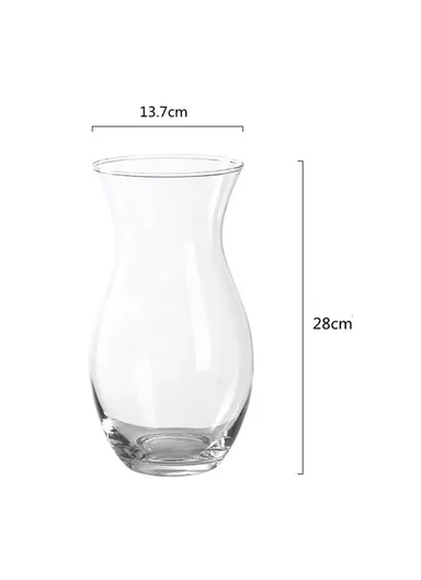 28cm High Minimalist Clear Glass Vase for Fresh Flowers Hydroponic Plants Living Room Decor