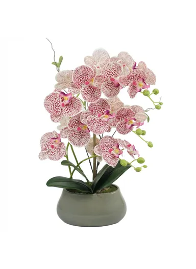 Artificial Phalaenopsis Orchid Potted Plant Silk Cloth Flower Home Office Realistic Faux Floral Decor - Purple Red