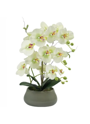 Artificial Phalaenopsis Orchid Potted Plant Silk Cloth Flower Home Office Realistic Faux Floral Decor - Light Green