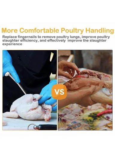 Stainless Steel Poultry Lung Remover Turkey Chicken Gutting Tool (No FDA Certified, BPA-Free)