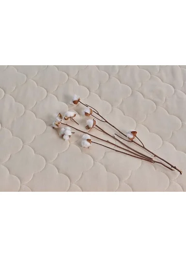 Cottonia Baby Spring Mattress (W70 x L120 x H10) cm  - Cream