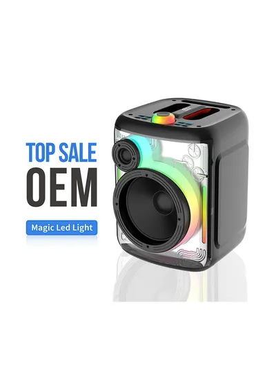 6.5" + Tweeter Portable Hi-Fi BT Home Stereo Subwoofer Karaoke Speaker Professional Wireless With Wireless Microphone ZQS-6169