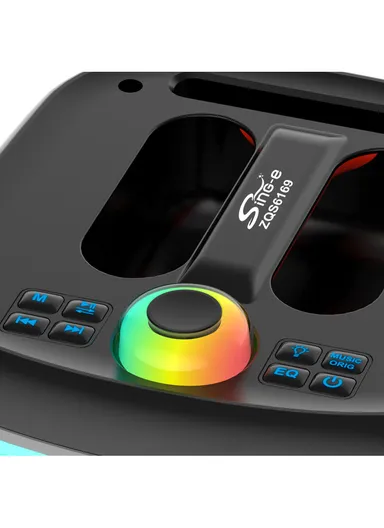 6.5" + Tweeter Portable Hi-Fi BT Home Stereo Subwoofer Karaoke Speaker Professional Wireless With Wireless Microphone ZQS-6169