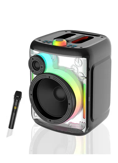 6.5" + Tweeter Portable Hi-Fi BT Home Stereo Subwoofer Karaoke Speaker Professional Wireless With Wireless Microphone ZQS-6169