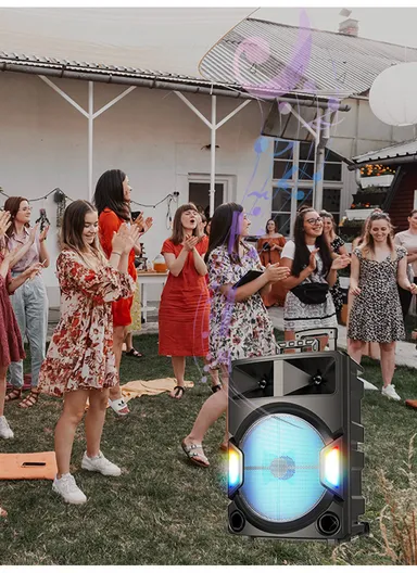 Super Bass Party Trolley Speaker With Wireless Microphones Remote Control ZQS-15112