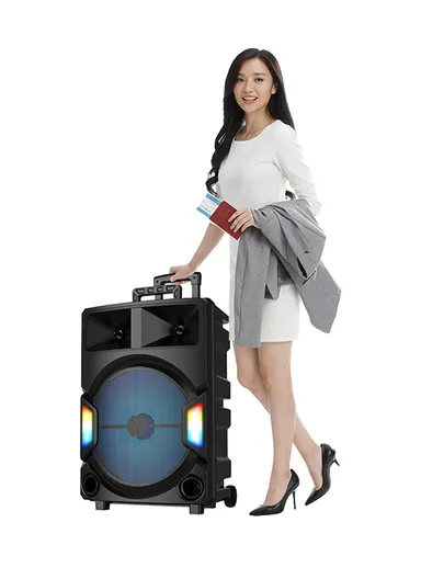 Super Bass Party Trolley Speaker With Wireless Microphones Remote Control ZQS-15112