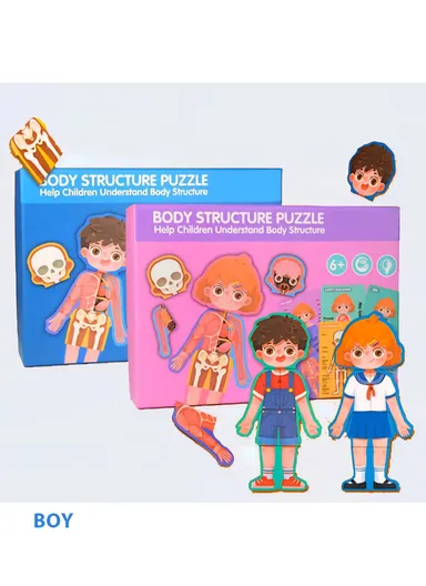 Human body structure puzzles Set - Boy