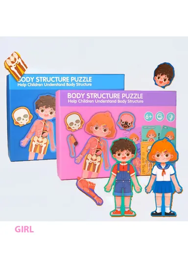Human body structure puzzles Set - Girl