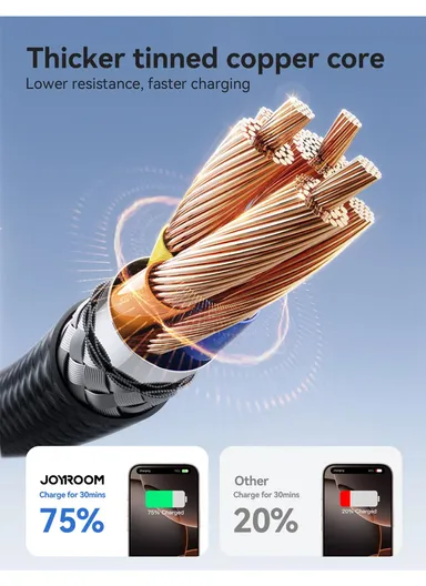 30W 2m Flash Series Fast Charging Data Cable Type-C to Lightning S-A28 - Black