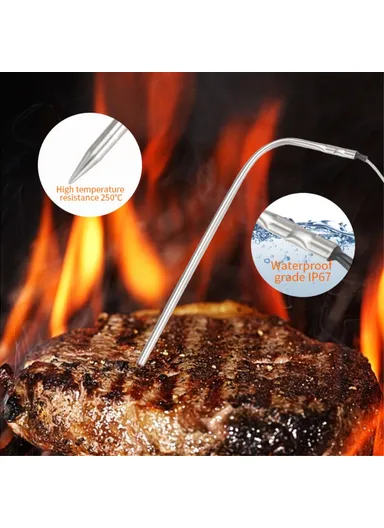 Dual Probe Digital Food Thermometer for BBQ Meat Cooking Kitchen Temperature Gauge - TS-6602