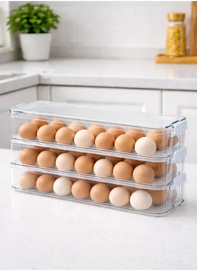 Refrigerator Egg Storage Box with Lockable Lid (W31 x D9.5 x H6.5)cm - Transparent