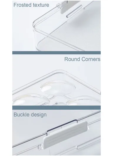 Refrigerator Egg Storage Box with Lockable Lid (W31 x D9.5 x H6.5)cm - Transparent