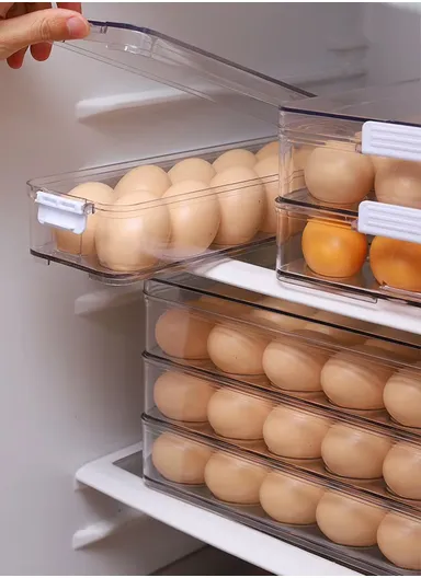 Refrigerator Egg Storage Box with Lockable Lid (W31 x D9.5 x H6.5)cm - Transparent