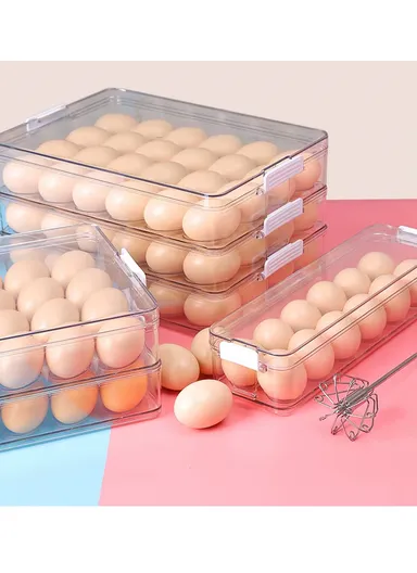 Refrigerator Egg Storage Box with Lockable Lid (W31 x D9.5 x H17)cm - Transparent