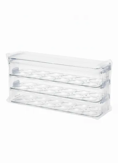 Refrigerator Egg Storage Box with Lockable Lid (W31 x D9.5 x H17)cm - Transparent