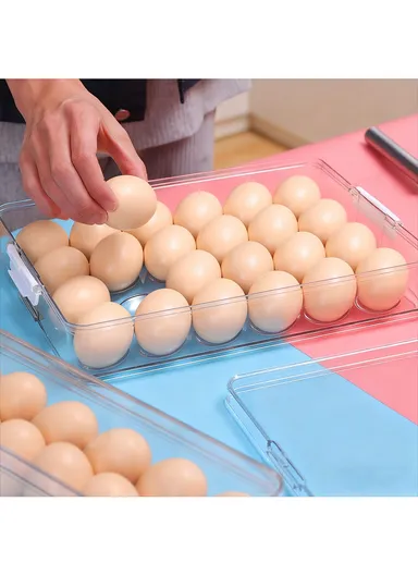 Refrigerator Egg Storage Box with Lockable Lid (W33 x D22 x H7)cm - Transparent