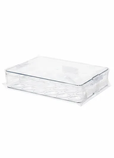 Refrigerator Egg Storage Box with Lockable Lid (W33 x D22 x H7)cm - Transparent