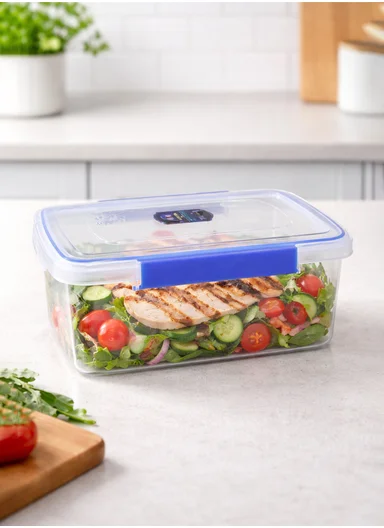 5L Airtight Plastic Storage Container with Leak-Proof Lid (L31 x W22 x H11) cm