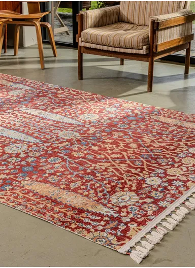 100x300cm Luxurious Area Rug, Soft, Durable, Dust-Proof Carpet Antique AN004