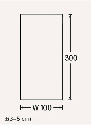 100x300cm Luxurious Area Rug, Soft, Durable, Dust-Proof Carpet Antique AN004