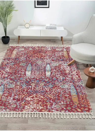 80x300cm Luxurious Area Rug, Soft, Durable, Dust-Proof Carpet Antique AN004