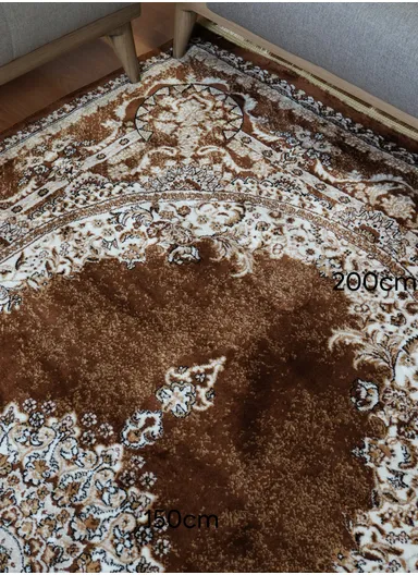 240x340cm Silk Thread Carpet - Brown
