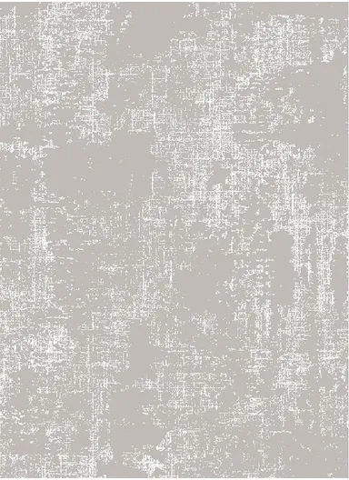 80x150cm Grey Dust-Proof Flatweave Carpet, Machine-Woven Polyester Rug Antique AN007