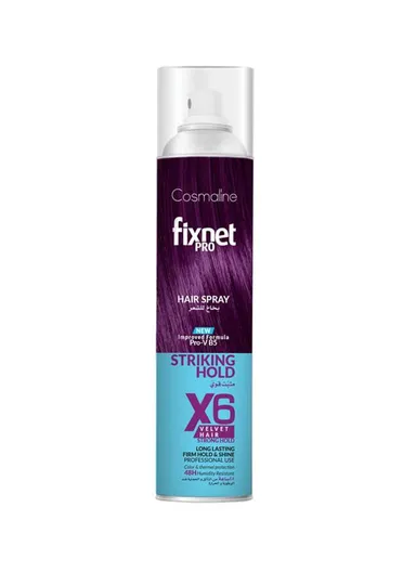 500ml enriched with Pro-Vitamin B5, Fixnet Pro Hair Spray X10 Steady Updo