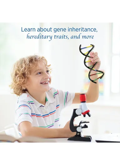 Genetics &amp; DNA Lab Game for Kids, Ages 10+