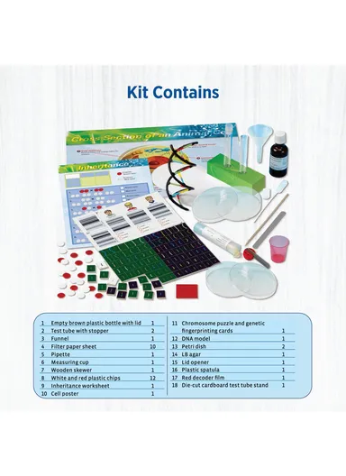 Genetics &amp; DNA Lab Game for Kids, Ages 10+