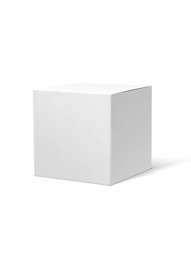 350ml Double-Wall Transparent Drinking Cup With Dried Flower Design (D9 x H11)cm