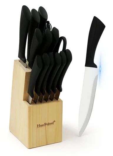 15-Pieces Stainless Steel Knife Set with Wooden Block  (W10 x D13 x H21)cm