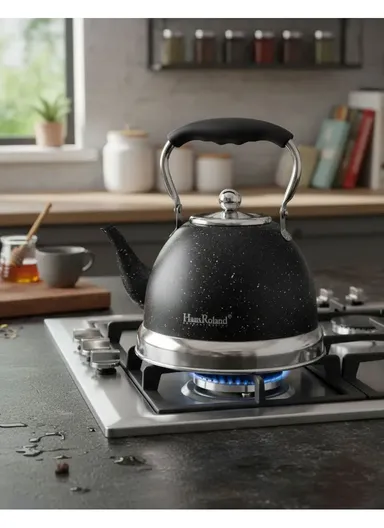 1.5L Stainless Steel Tea Kettle With Bakelite Handle &amp; Color-Coated Body - Black