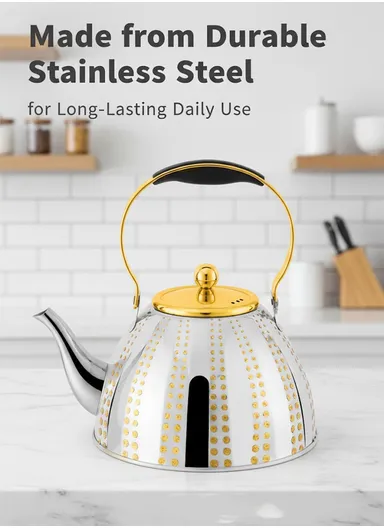 2.0L Stainless Steel Tea Kettle With Heat-Resistant Handle &amp; Removable Filter HR7134-3