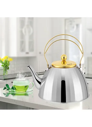 2.0L Stainless Steel Kettle with Filter HR7136-3