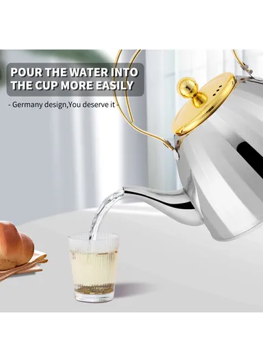 2.0L Stainless Steel Kettle with Filter HR7136-3