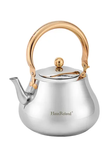 3.0 Liter Stainless Steel Kettle with Wooden Handle HR7114-2