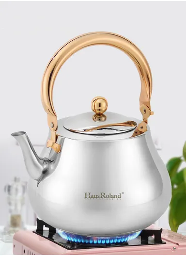 3.0 Liter Stainless Steel Kettle with Wooden Handle HR7114-2