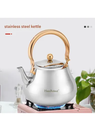 3.0 Liter Stainless Steel Kettle with Wooden Handle HR7114-2