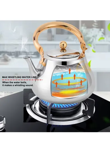 3.0 Liter Stainless Steel Kettle with Wooden Handle HR7114-2