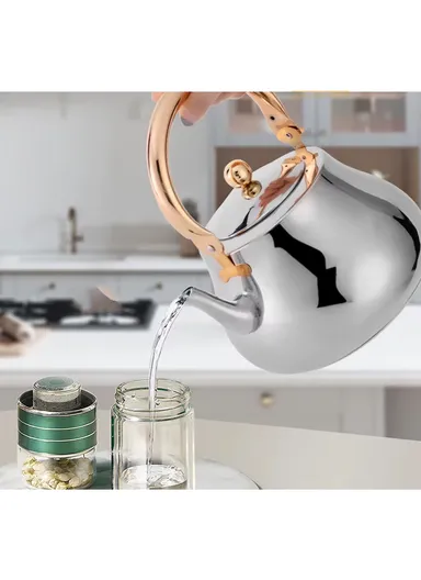 3.0 Liter Stainless Steel Kettle with Wooden Handle HR7114-2