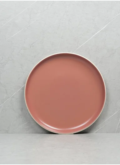 12-Pieces Modern Matte Pink Round Stoneware Dinnerware Set BM-12318