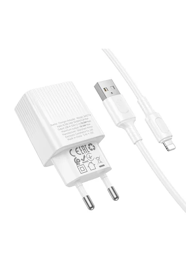 IP-USB 10.5W Wall Charger with EU Plug BAS71A