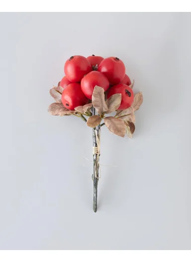Crabapple Branch Single Branch Artificial Flower 21 cm Red