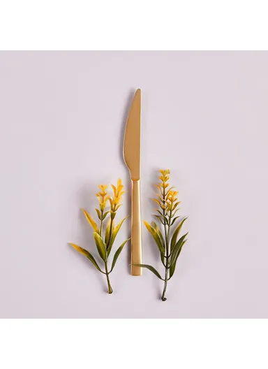 6 Pieces Small Dinner Knife - Gold